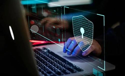 软件安全 漏洞利用与渗透测试全流程剖析